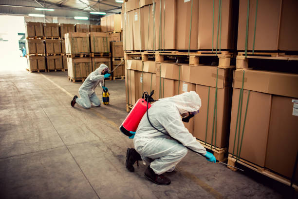 Best Termite Control Services  in Heathrow, FL