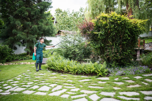 Professional Pest Control in Heathrow, FL