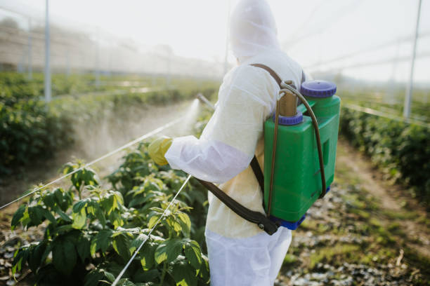 Pest Control Cost in Heathrow, FL